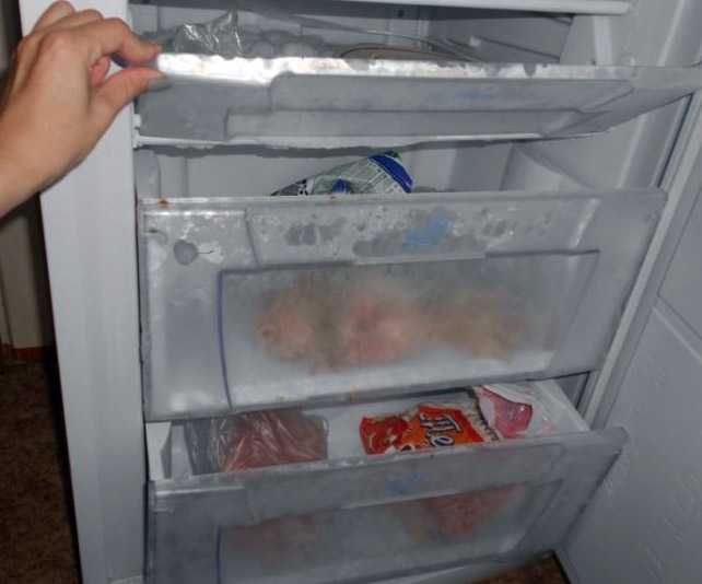 Не работает холодильник а морозилка работает, причины