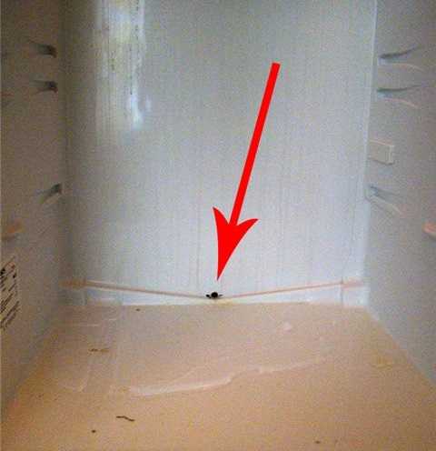 Почему в морозилке ноу-фрост образуется наледь и из неё капает вода и как отремонтировать