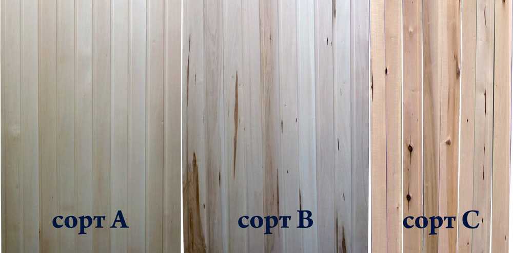 Применение древесины: как подобрать породу дерева под разные задачи — викистрой