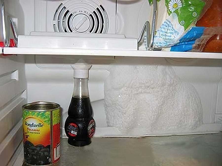 Что делать, если появляется конденсат в холодильнике