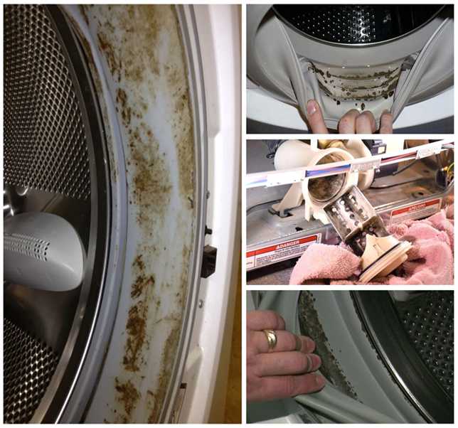 Как правильно почистить резинку в стиральной машинке
