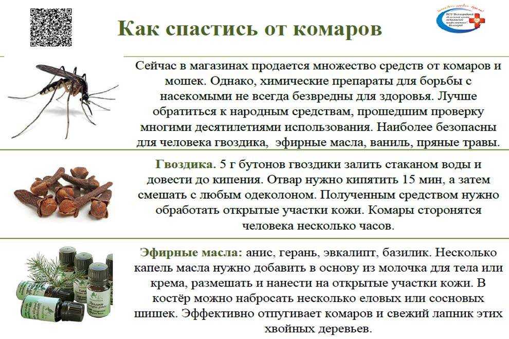 Как избавиться от комаров в доме? - xclean.info