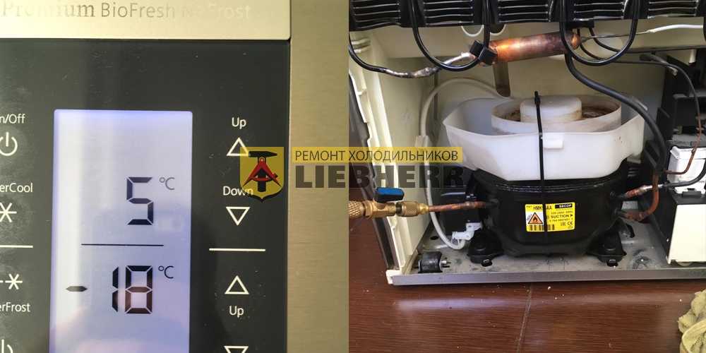 Ремонт холодильников либхер: технология устранения поломок liebherr