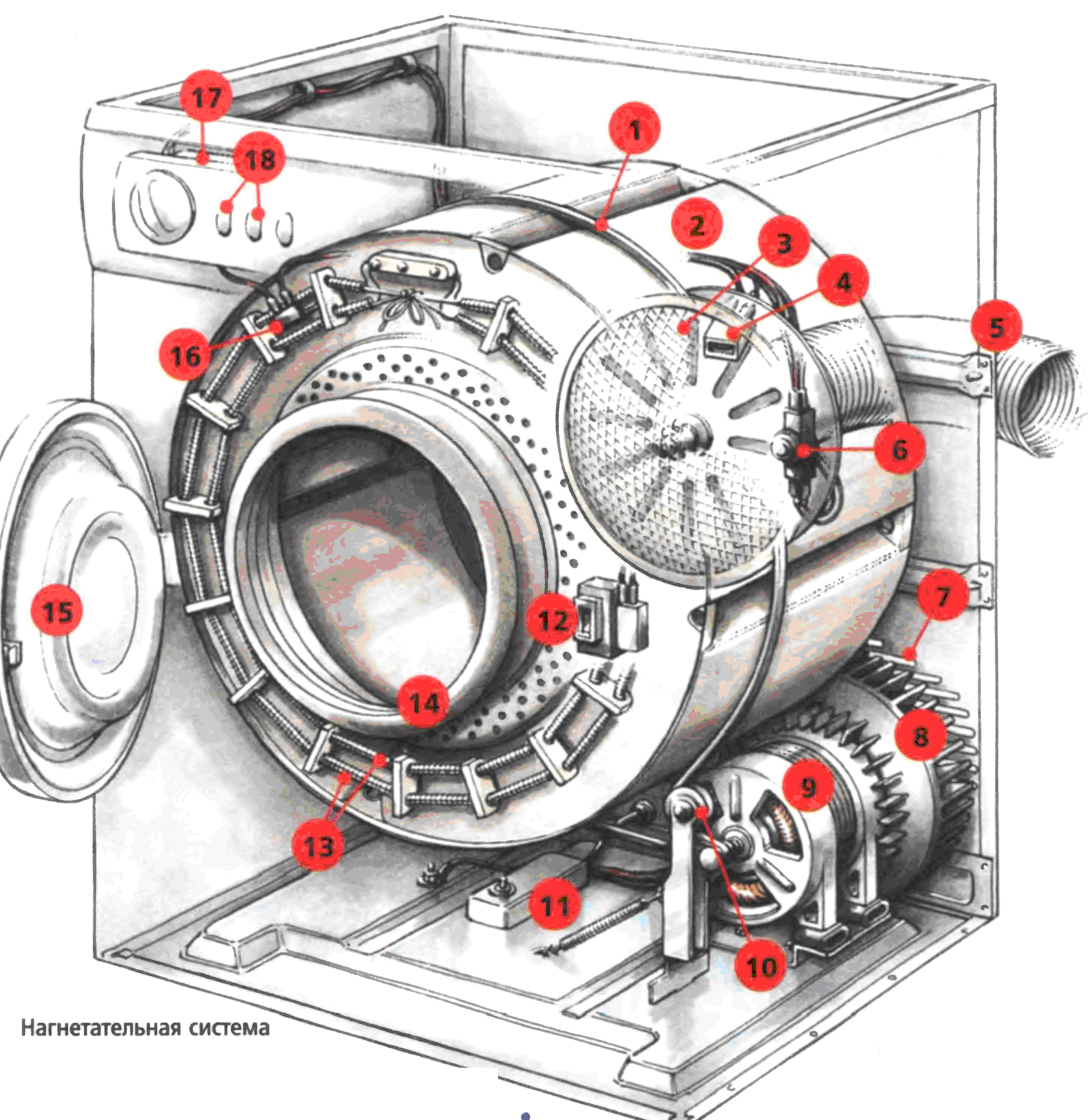 Принцип работы стиральной машины автомат: особенности и механизмы- принцип работы +видео