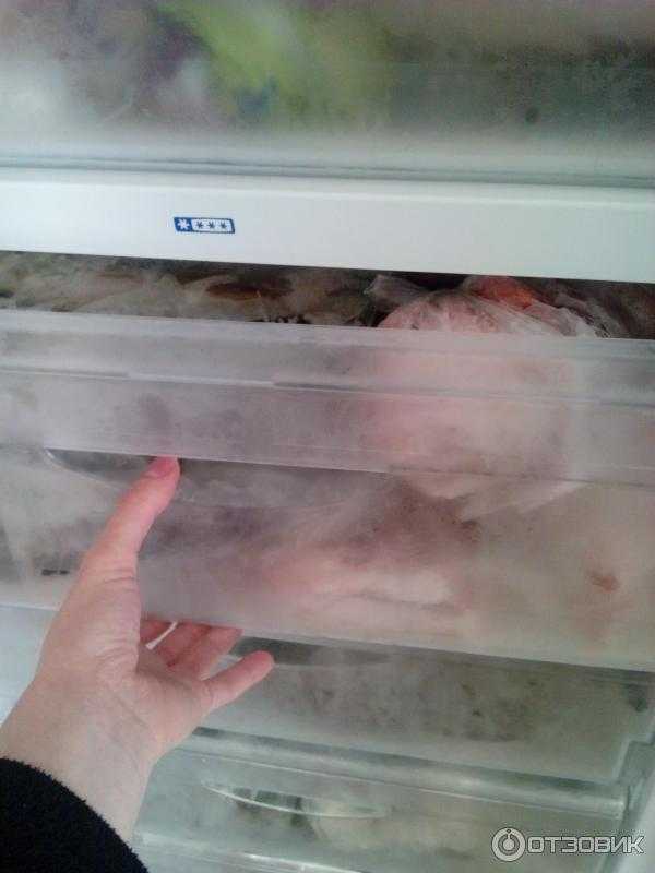 Перестал морозить холодильник или одна из камер: что делать и как найти причину