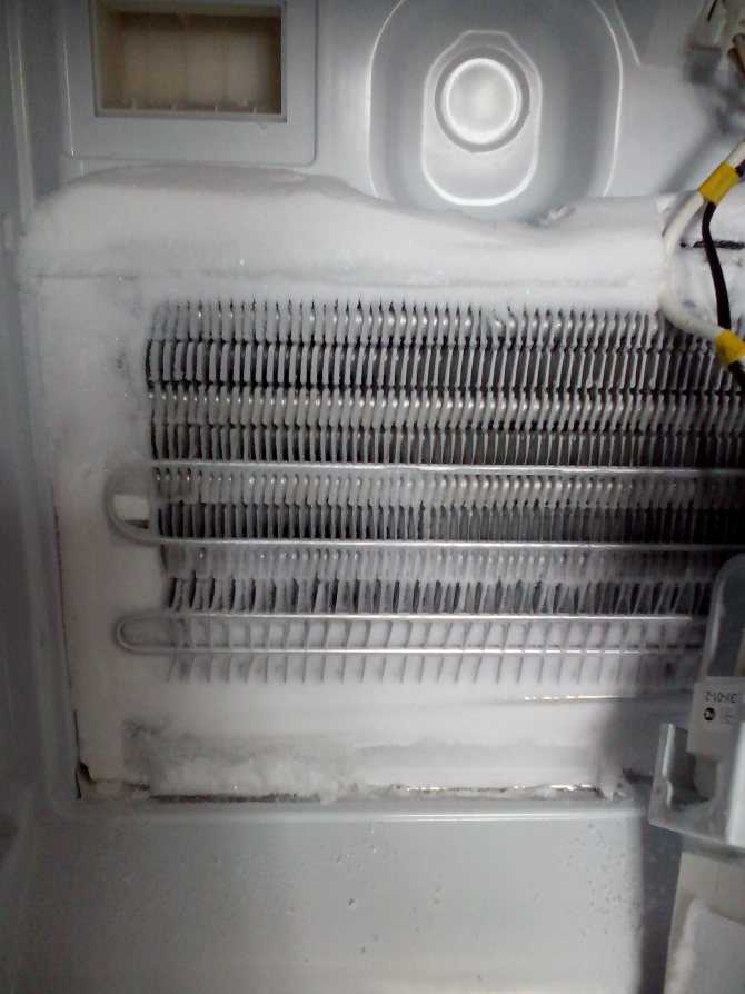 Почему холодильник не морозит, хотя работает?